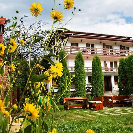 Pensiunea Amada Hotel Leresti Exterior photo