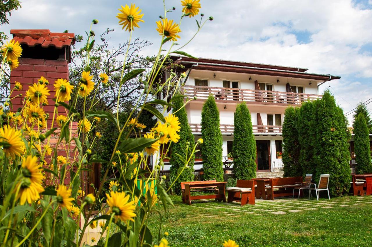 Pensiunea Amada Hotel Leresti Exterior photo